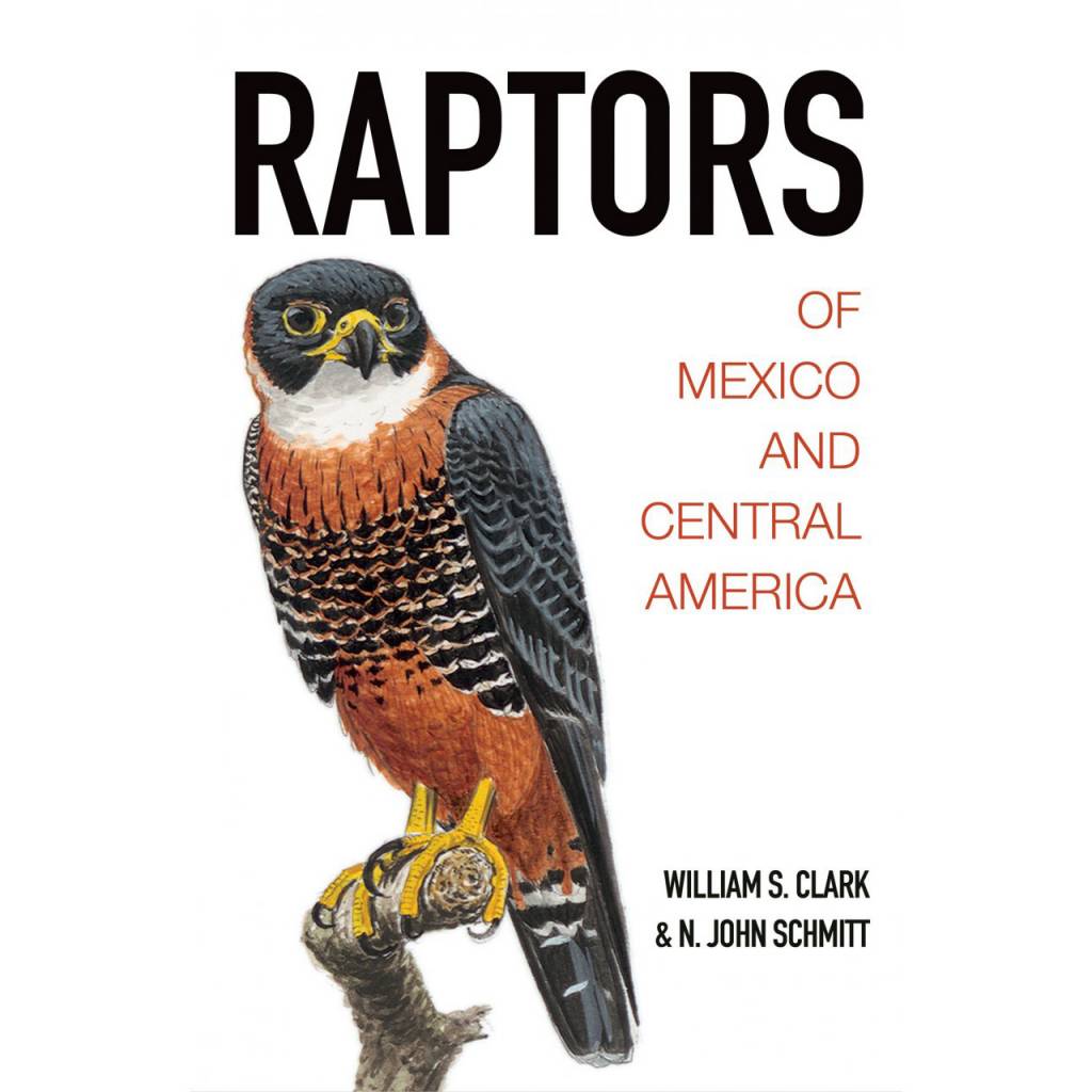 Raptors of Mexico and Central America