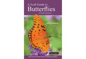 A Swift Guide to Butterflies of North America