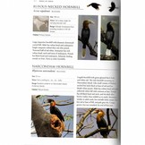 A Photographic Field Guide to the Birds of India, Pakistan, Nepal, Bhutan, Sri Lanka, and Bangladesh