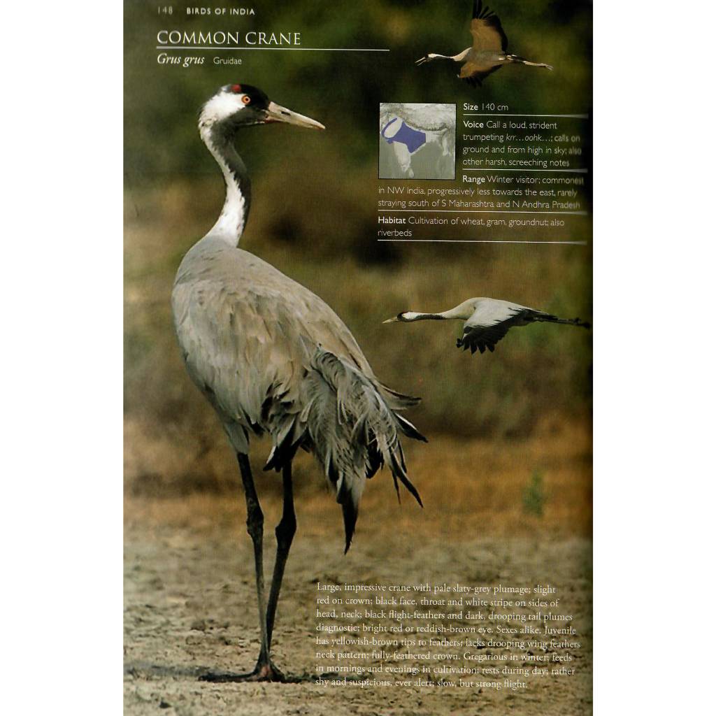 A Photographic Field Guide to the Birds of India, Pakistan, Nepal, Bhutan, Sri Lanka, and Bangladesh