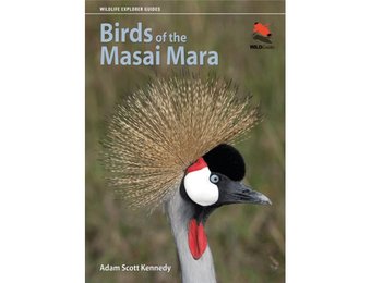 Birds of the Masai Mara