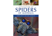 A Field Guide to Spiders of Australia