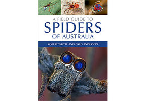 A Field Guide to Spiders of Australia
