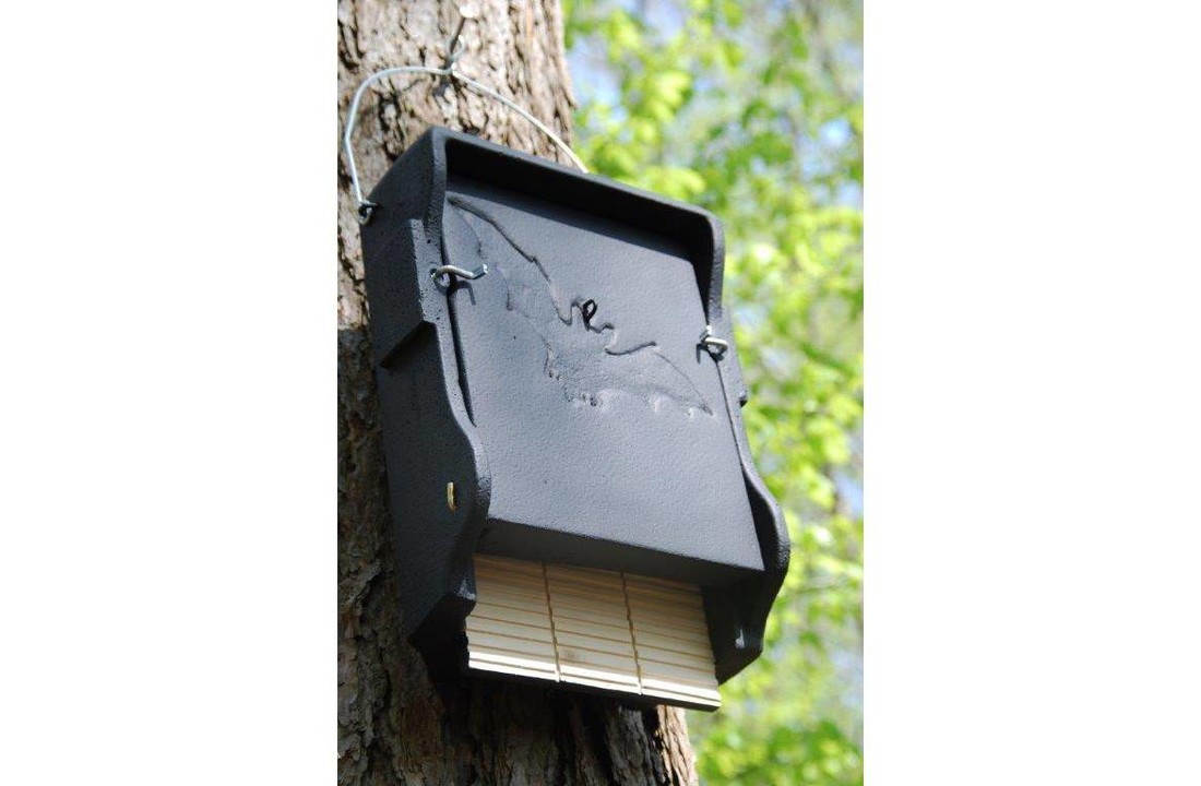 Flat Bat Box 1FF with built-in wooden rear panel