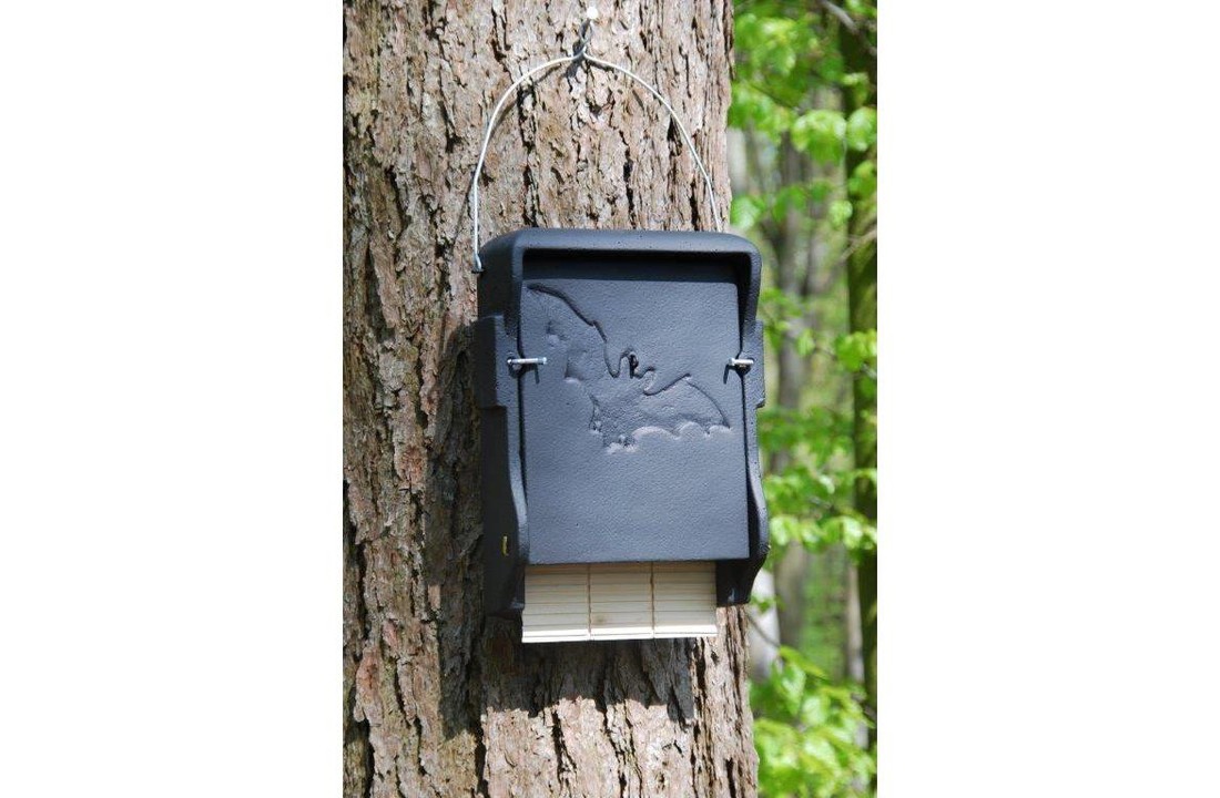 Flat Bat Box 1FF with built-in wooden rear panel