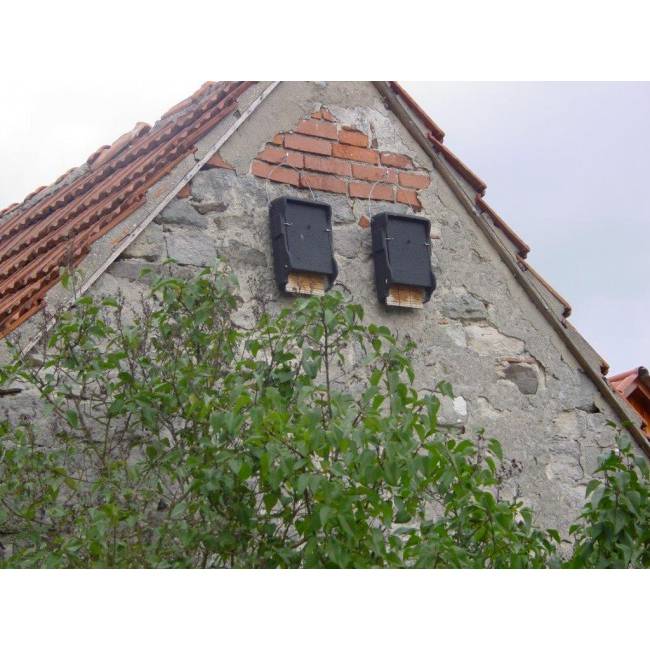 Schwegler Vleermuiskast met Geïntegreerde Houten Achterwand 1FF