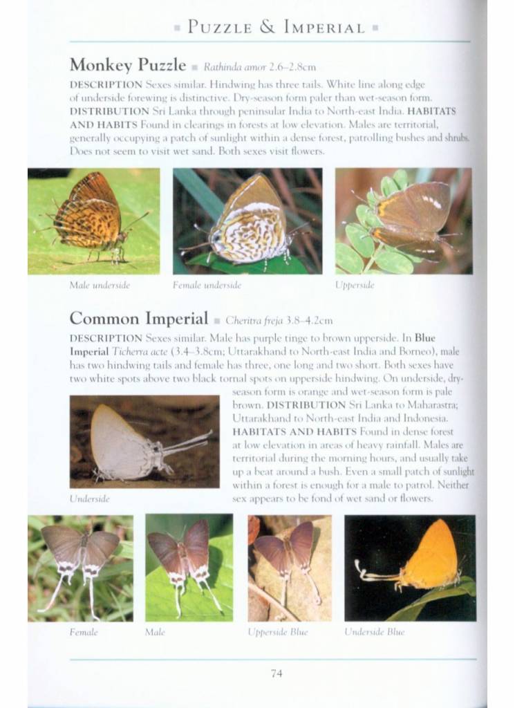 A Naturalist’s Guide to the Butterflies of India - Pakistan, Nepal, Bhutan, Bangladesh and Sri Lanka
