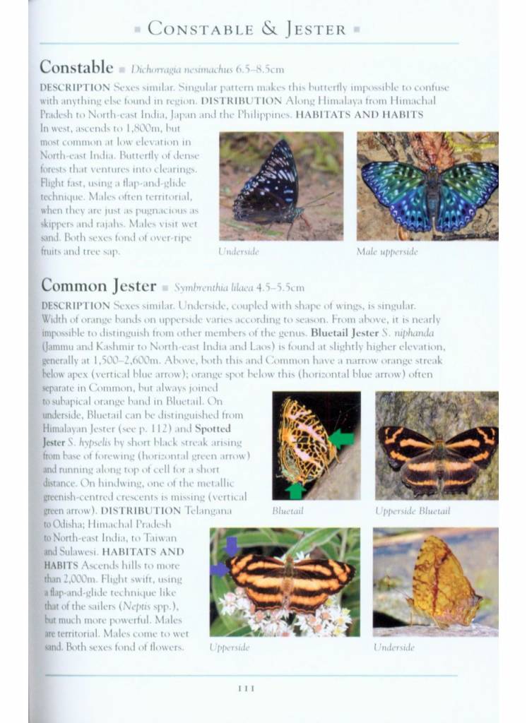 A Naturalist’s Guide to the Butterflies of India - Pakistan, Nepal, Bhutan, Bangladesh and Sri Lanka
