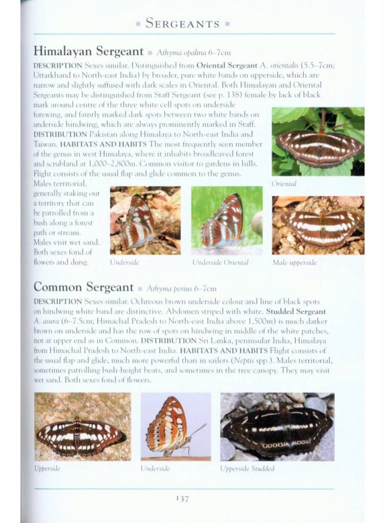 A Naturalist’s Guide to the Butterflies of India - Pakistan, Nepal, Bhutan, Bangladesh and Sri Lanka