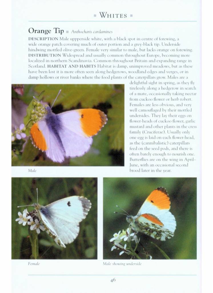 A Naturalist's Guide to the Butterflies of Great Britain & Northern Europe