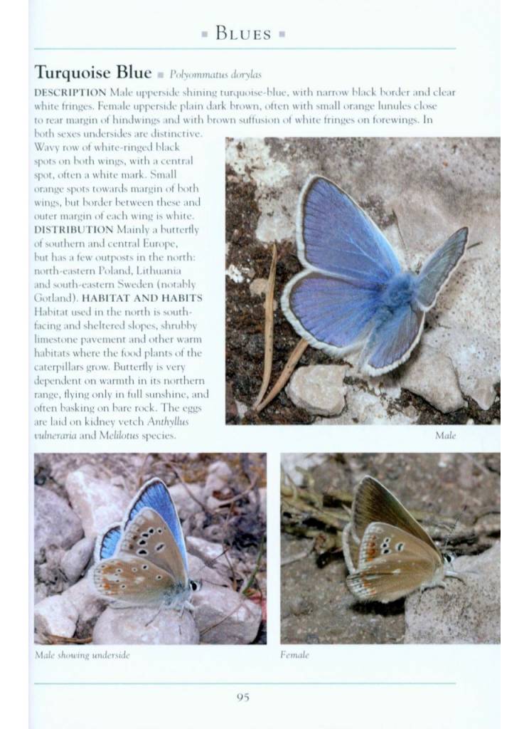 A Naturalist's Guide to the Butterflies of Great Britain & Northern Europe