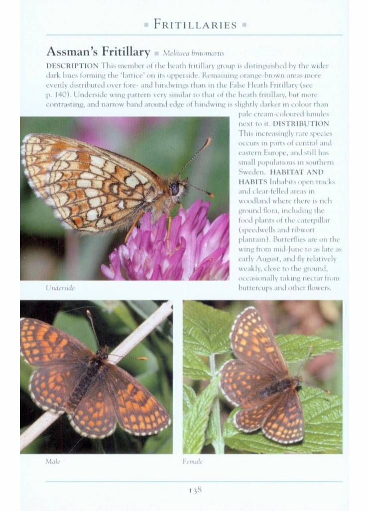 A Naturalist's Guide to the Butterflies of Great Britain & Northern Europe