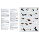 HBW and Birdlife International Illustrated Checklist of the Birds of the World, Volume 1 - Non-Passerines