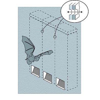Bat Tube 1FR and 2FR