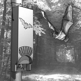 Schwegler 1FFH Universele vleermuiskast