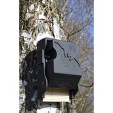 Schwegler Fledermaus-Großraum-Flachkasten 3FF