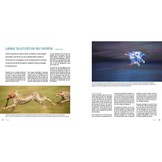 Praktijkboek Creatieve Natuurfotografie