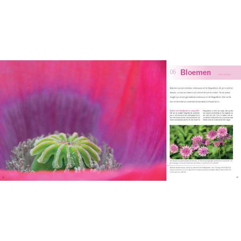 Praktijkboek Plant- en Tuinfotografie