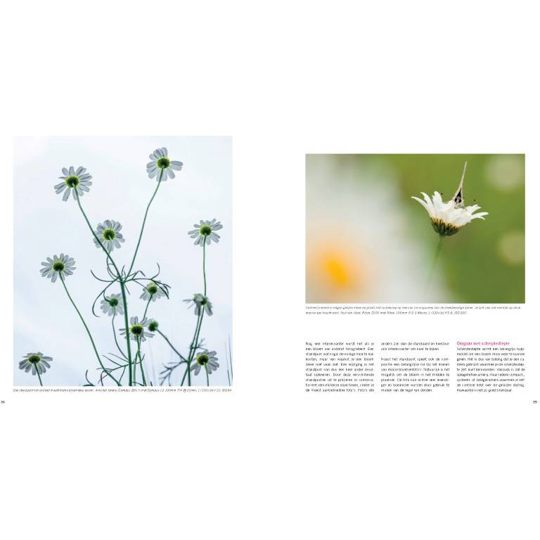 Praktijkboek Plant- en Tuinfotografie