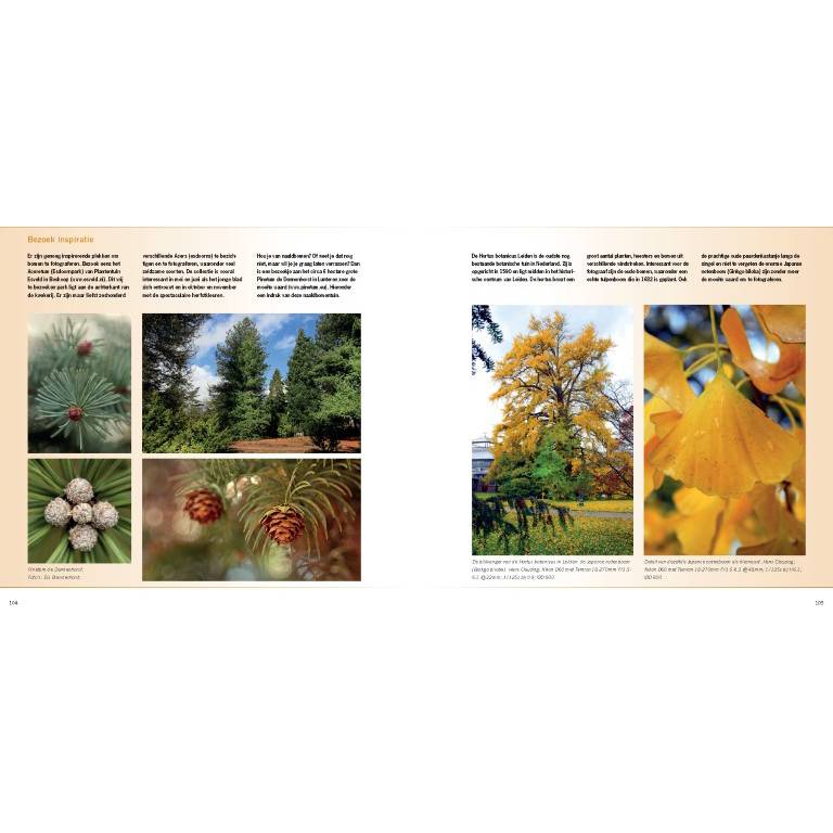 Praktijkboek Plant- en Tuinfotografie