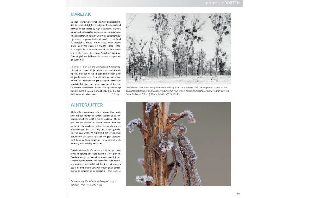 Praktijkboek Natuurfotografie Jaarrond
