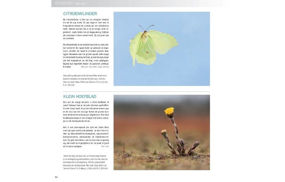 Praktijkboek Natuurfotografie Jaarrond