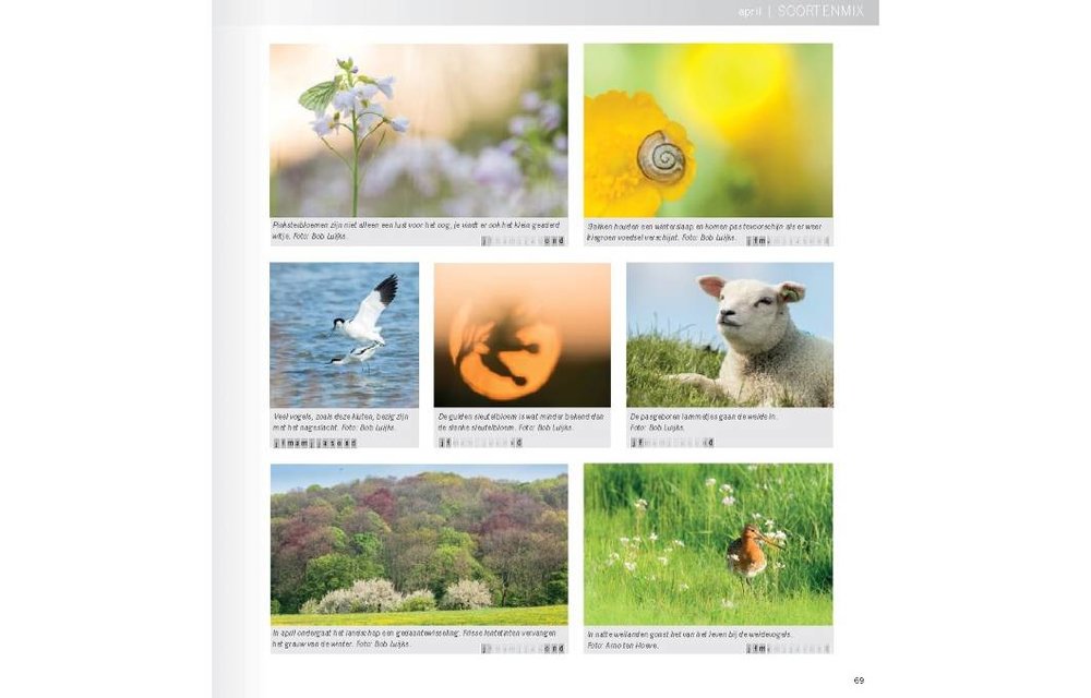 Praktijkboek Natuurfotografie Jaarrond
