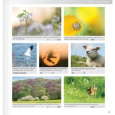 Praktijkboek Natuurfotografie Jaarrond