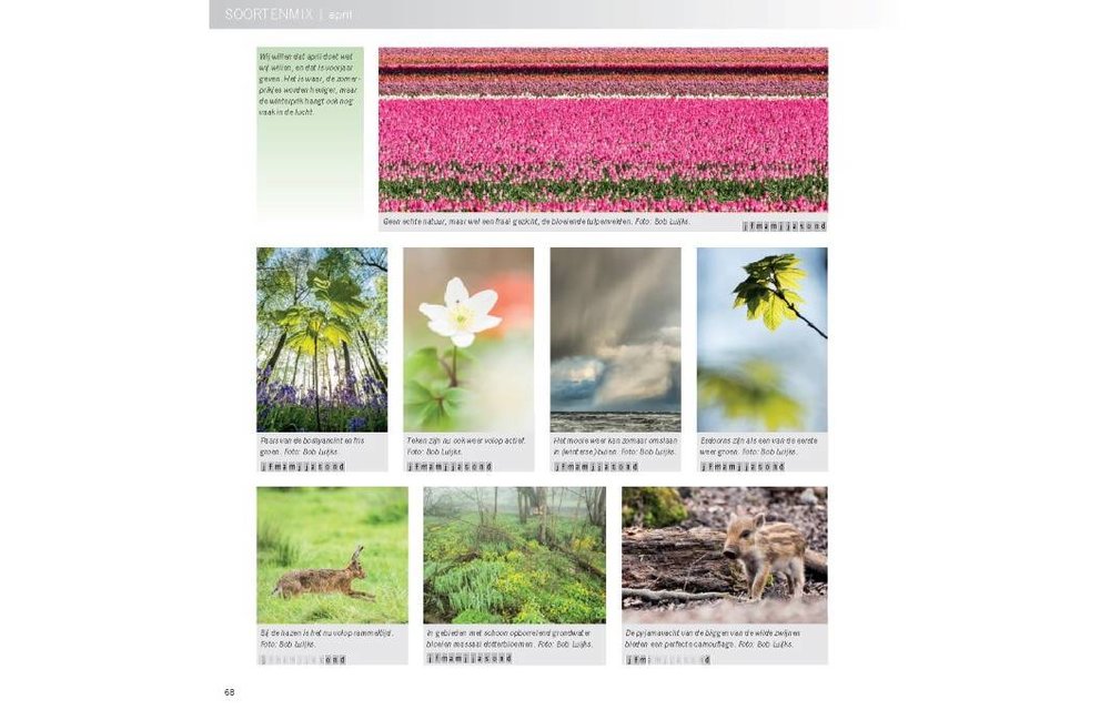Praktijkboek Natuurfotografie Jaarrond