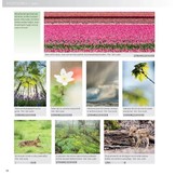 Praktijkboek Natuurfotografie Jaarrond