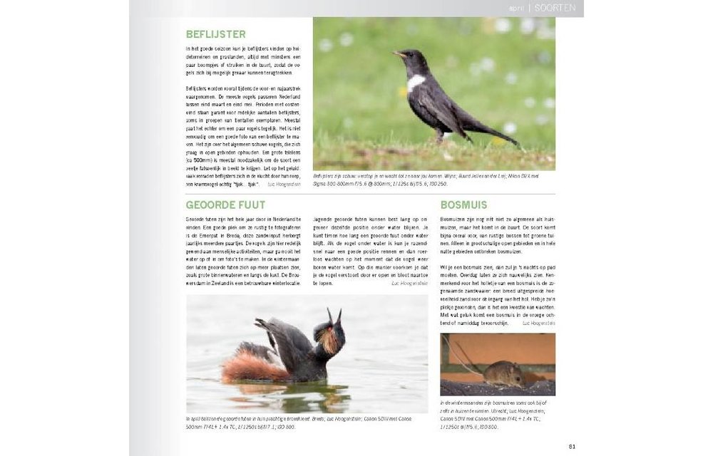 Praktijkboek Natuurfotografie Jaarrond