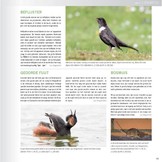 Praktijkboek Natuurfotografie Jaarrond