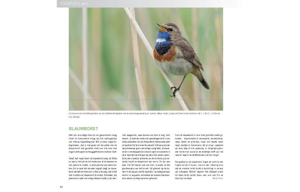 Praktijkboek Natuurfotografie Jaarrond