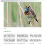 Praktijkboek Natuurfotografie Jaarrond
