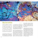 Praktijkboek Natuurfotografie Jaarrond