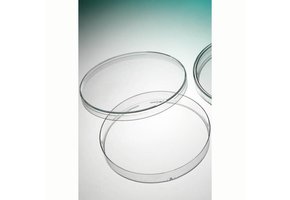 Petrischaal PS 90 mm, (geleverd per rol van 33 stuks)