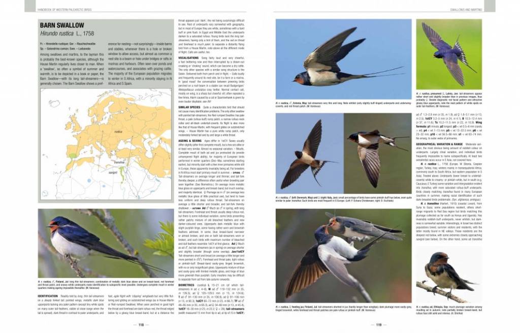 Handbook of Western Palearctic Birds: Passerines (Set van 2 Delen)