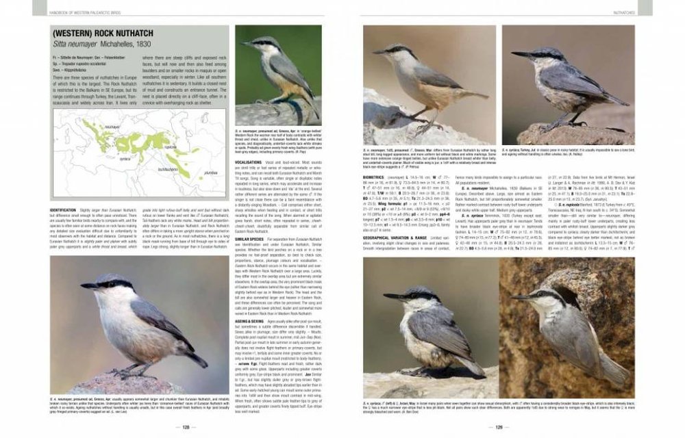 Handbook of Western Palearctic Birds: Passerines (2-Volume Set)