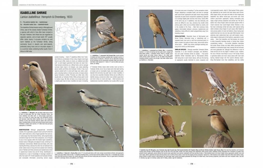 Handbook of Western Palearctic Birds: Passerines (2-Volume Set)