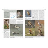 Handbook of Western Palearctic Birds: Passerines (2-Volume Set)