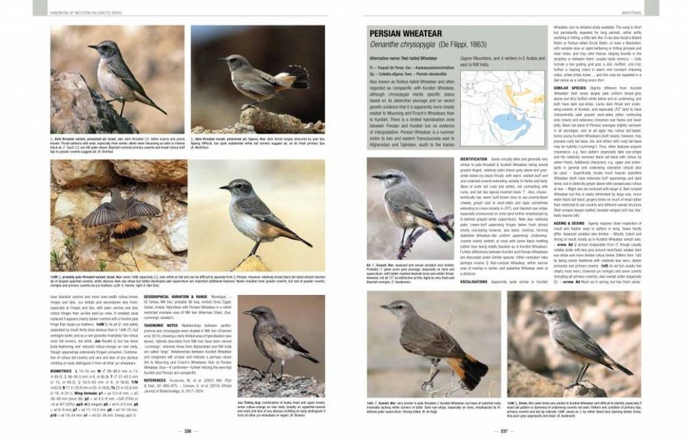 Handbook of Western Palearctic Birds: Passerines (2-Volume Set)