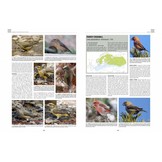 Handbook of Western Palearctic Birds: Passerines (Set van 2 Delen)