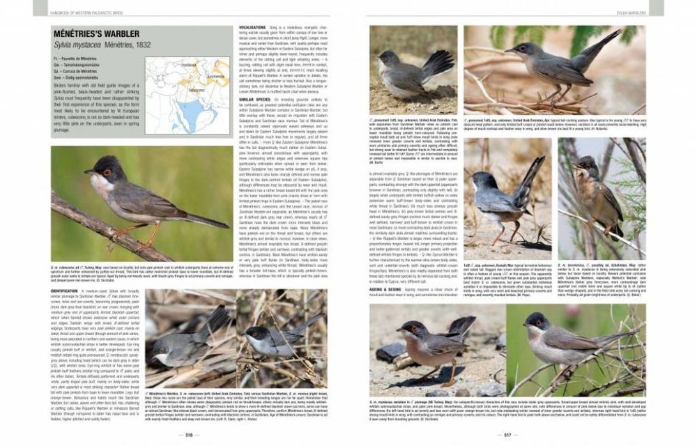 Handbook of Western Palearctic Birds: Passerines (2-Volume Set)