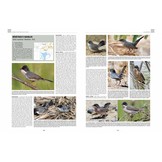 Handbook of Western Palearctic Birds: Passerines (Set van 2 Delen)
