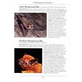 A Naturalist’s Guide to the Mammals of Australia