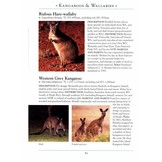 A Naturalist’s Guide to the Mammals of Australia