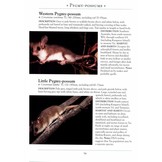 A Naturalist’s Guide to the Mammals of Australia