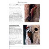 A Naturalist’s Guide to the Birds of Malaysia - Including Sabah and Sarawak