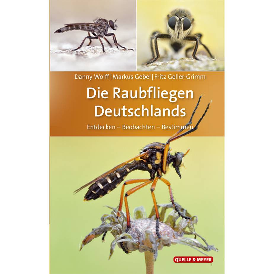 Die Raubfliegen Deutschlands - Entdecken - Beobachten - Bestimmen