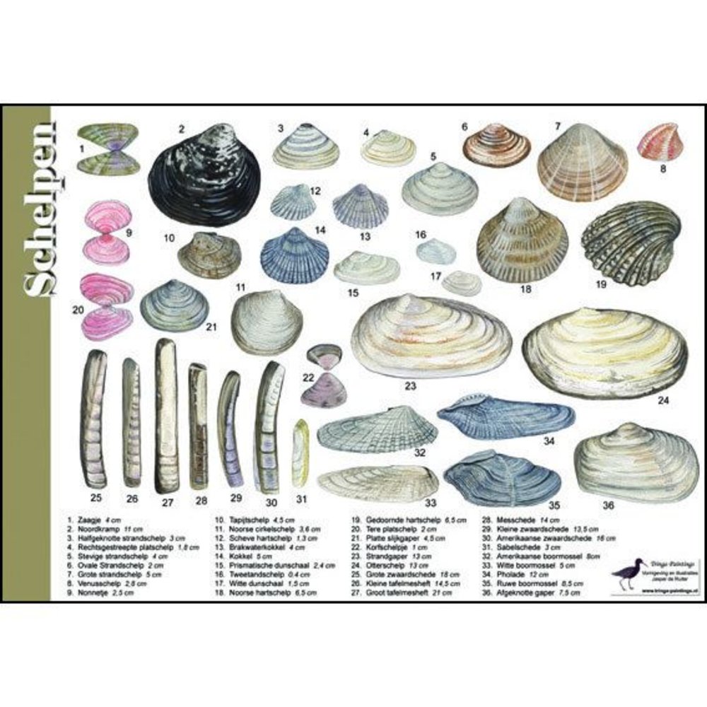 Identification Card Shells - Veldshop
